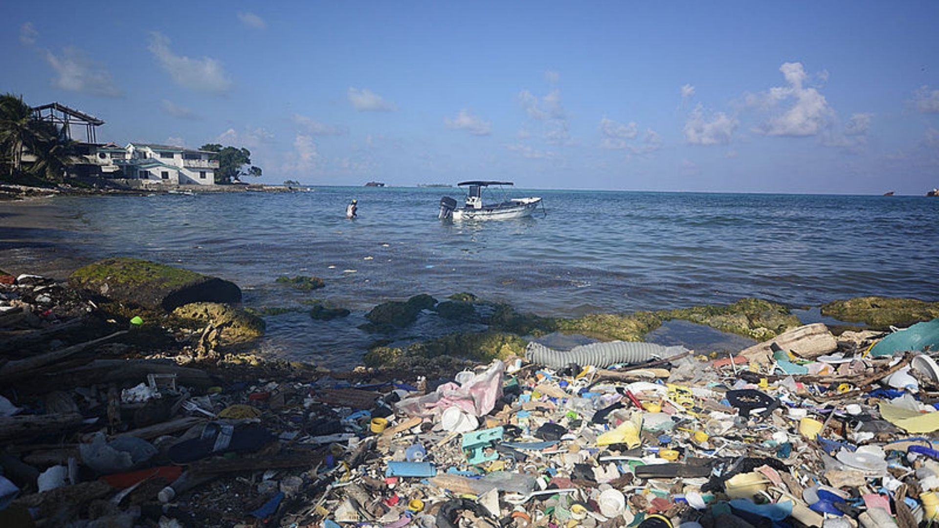 El 89% de los microplásticos encontrados corresponden a fibras, pero la forma no permite determinar el origen de la contaminación. Foto: Unimedios