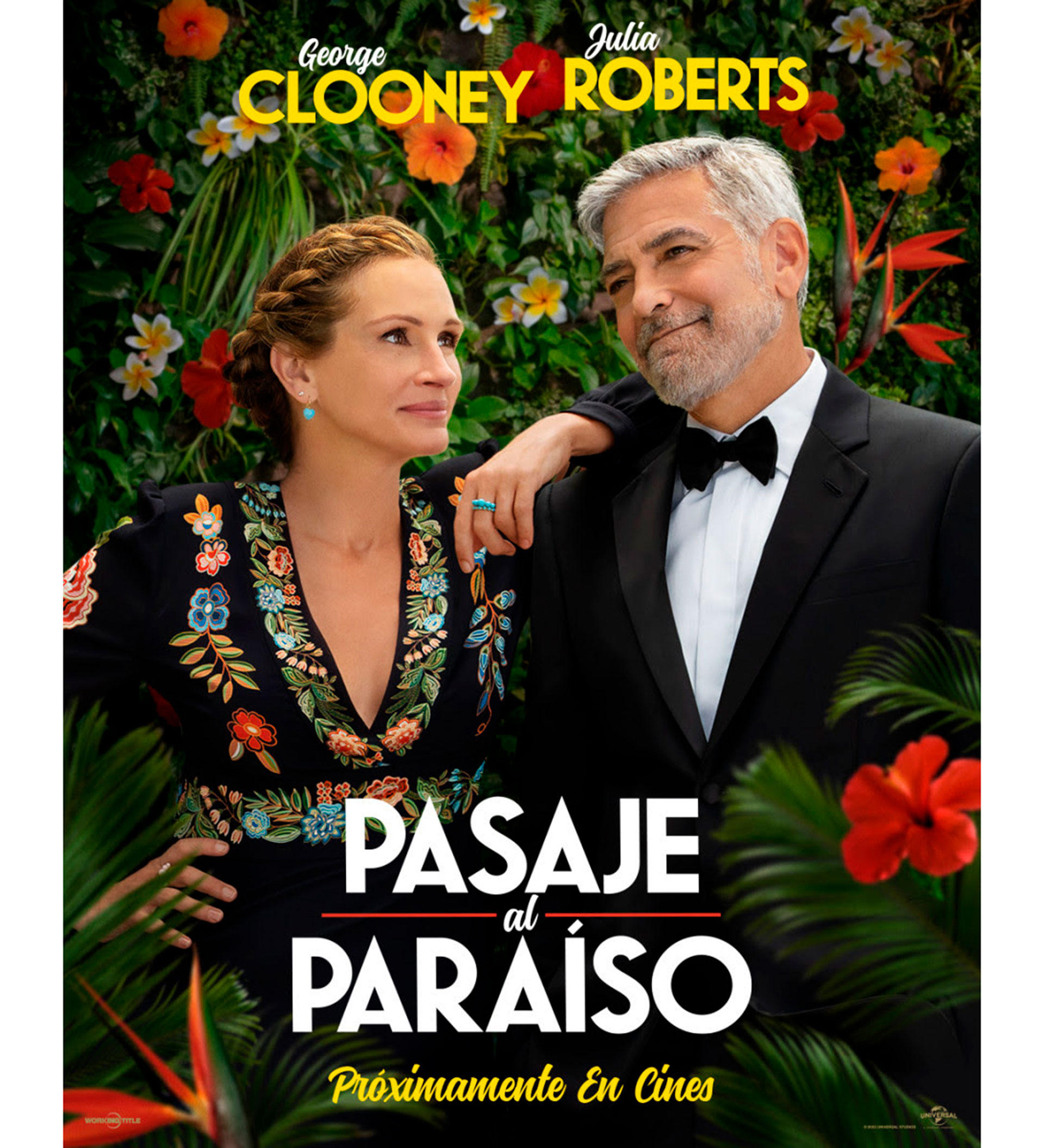 Pasaje al paraíso”: Julia Roberts y George Clooney, la pareja más  carismática del cine en una comedia liviana - Infobae