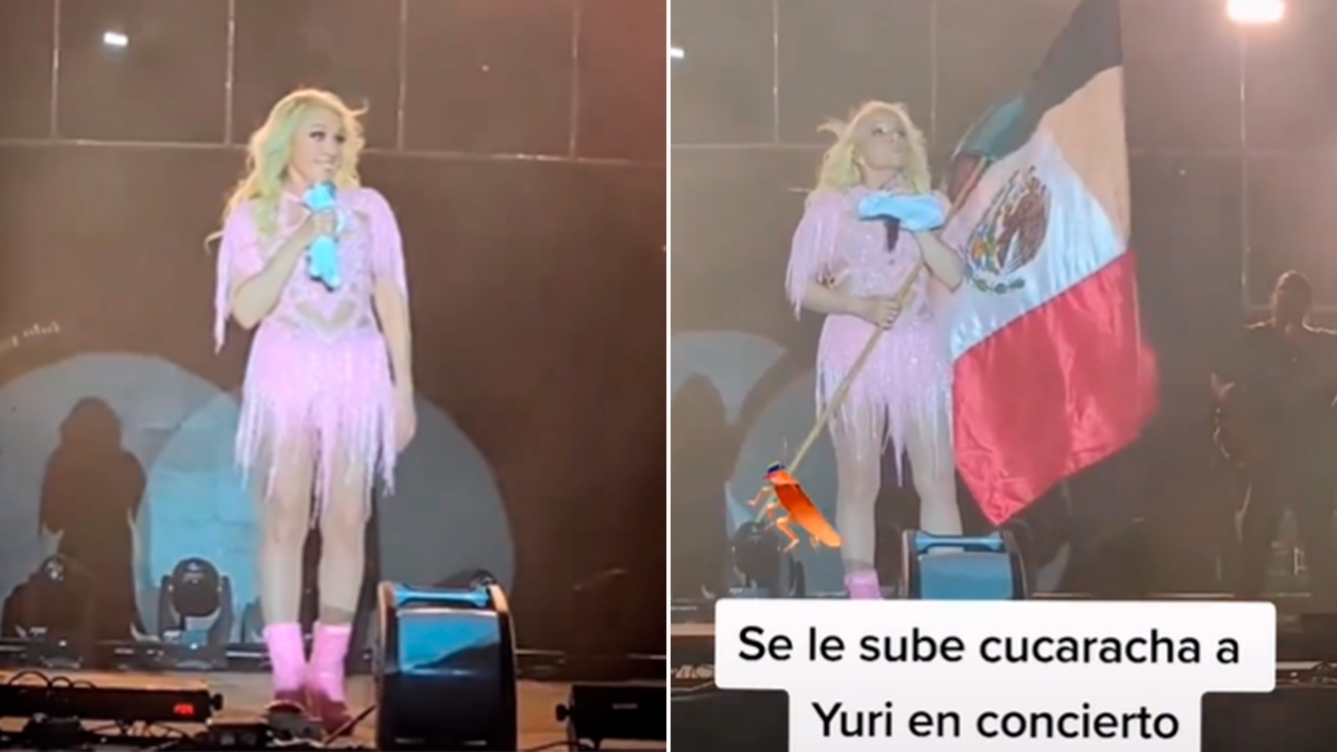 Momento de terror: así sorprendió una cucaracha a Yuri en pleno concierto