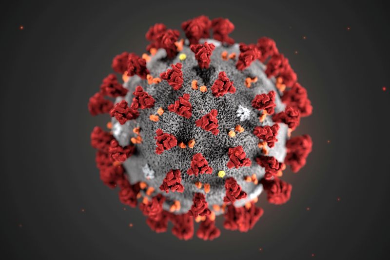 El ARN mensajero se inserta en el cuerpo y toma el control de esta maquinaria para fabricar proteínas o antígenos específicos del coronavirus: sus “espículas” o espigas, esas puntas tan características que están en su superficie y le permiten adherirse a las células humanas para penetrarlas (REUTERS)
