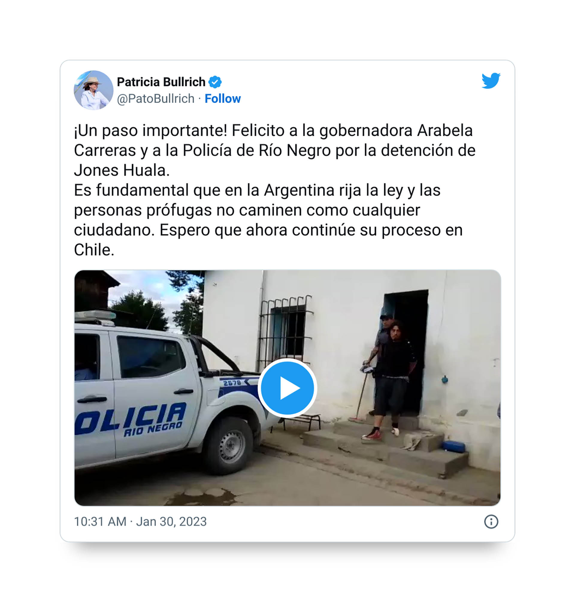 Uno de los comentarios de Patricia Bullrich sobre la detención de Jones Huala