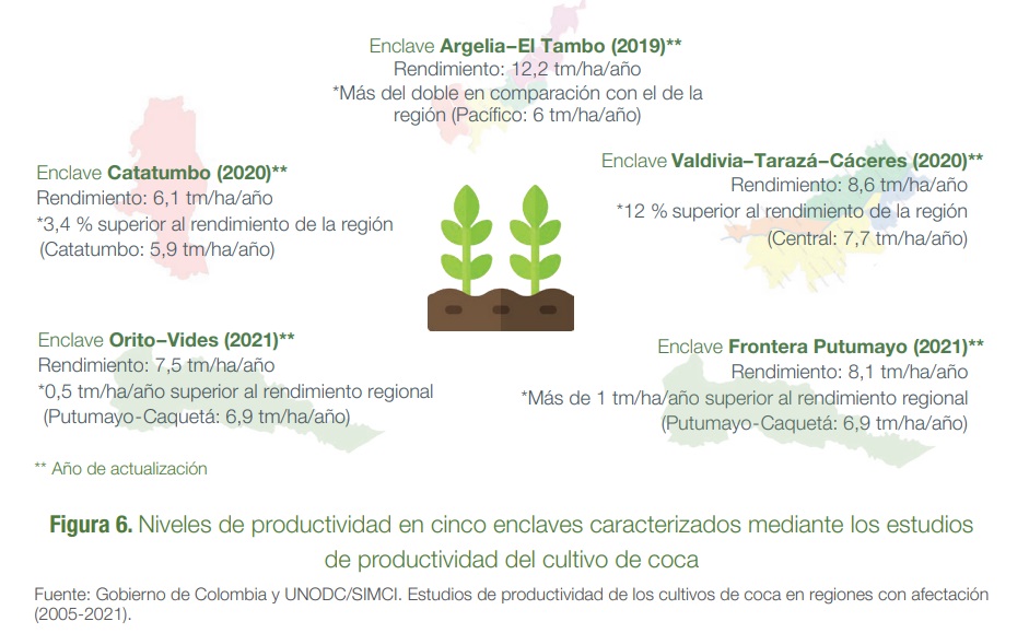 Los cinco enclaves productivos identificados en Colombia. Argelia Tambo en Cauca los de mayor producción