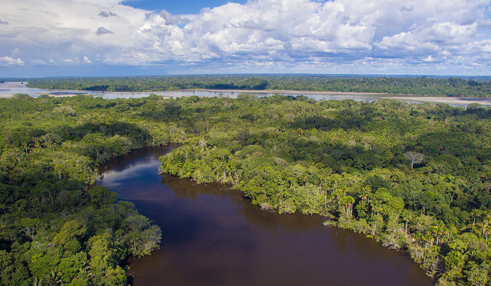 En el referéndum también se consultará sobre la protección y administración ambiental. (La Selva Jungle Lodge)