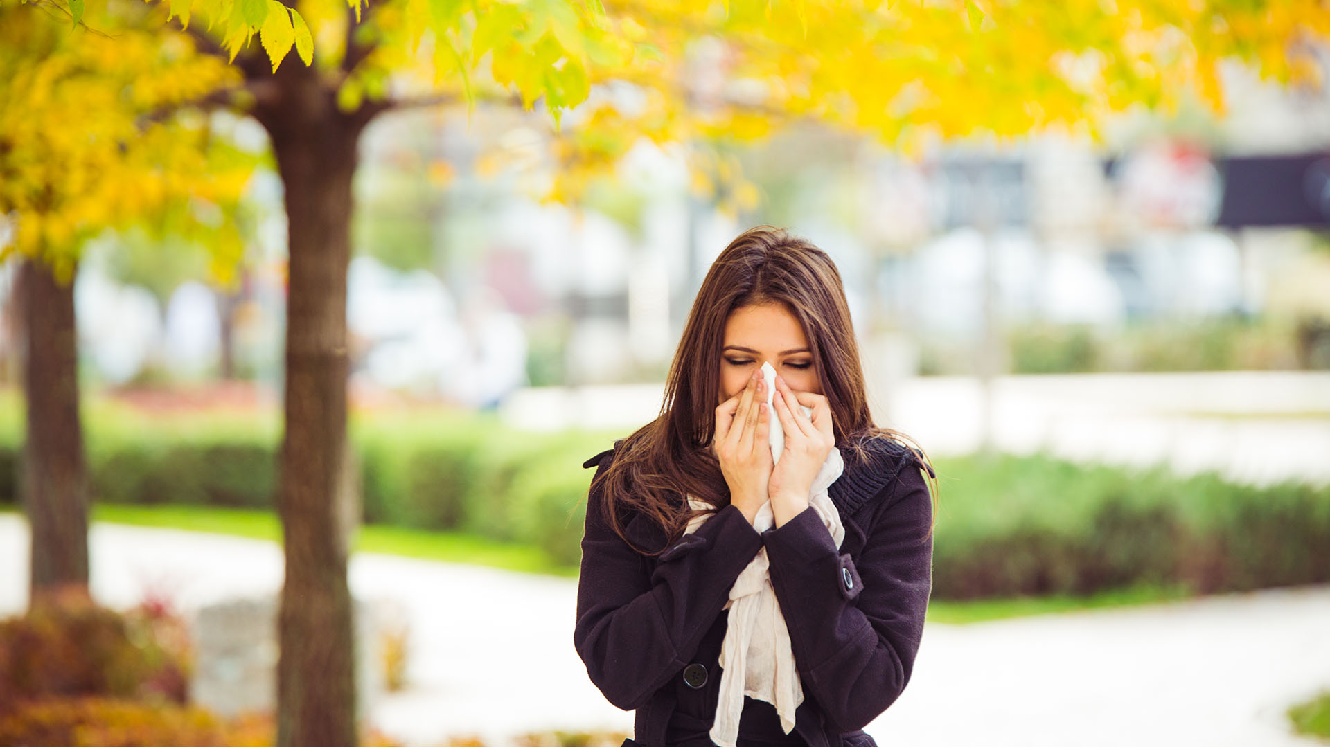 En otoño, los ácaros puede disparar casos de alergia (Getty Images)