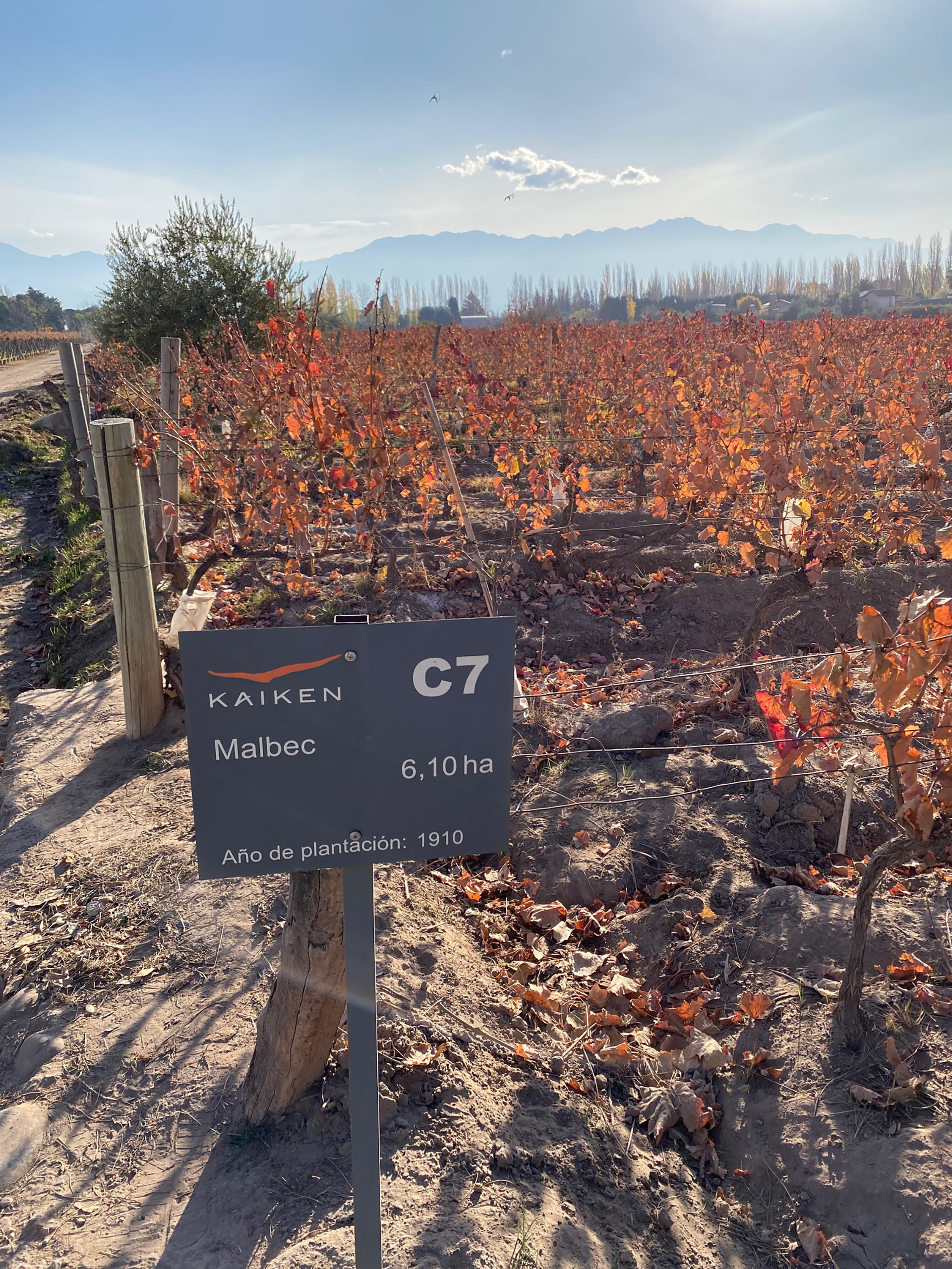 Bodegas Kaiken, de Mendoza, ofrece uno de sus mejores malbec