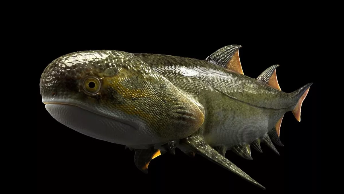 Cómo es la especie de pez descubierta por científicos chinos que vivió hace 400 millones años - Infobae
