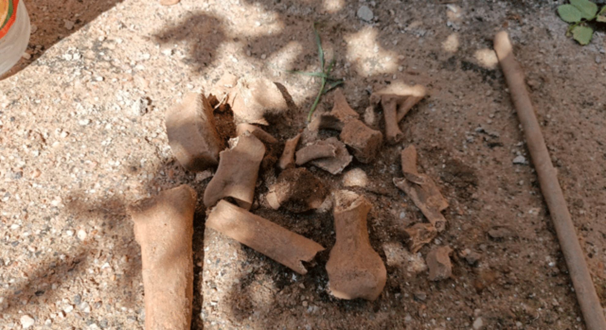 Un club europeo busca jugadores semiprofesionales vía redes sociales: qué salario ofrece y los inéditos requisitos para presentarse