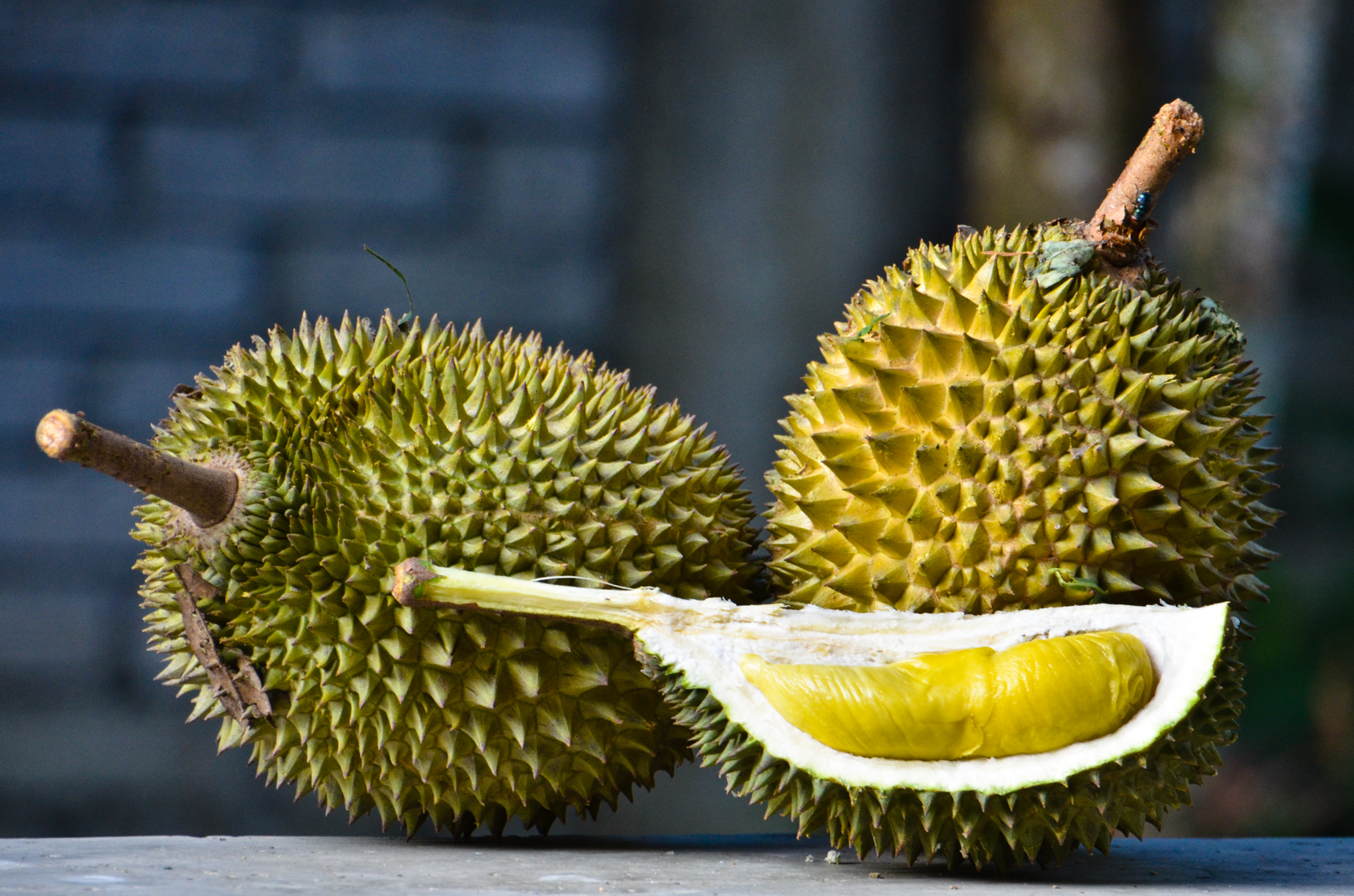 Una imagen del durian, un fruto exótico y apestoso pero exquisito, según cuentan quienes lo probaron.