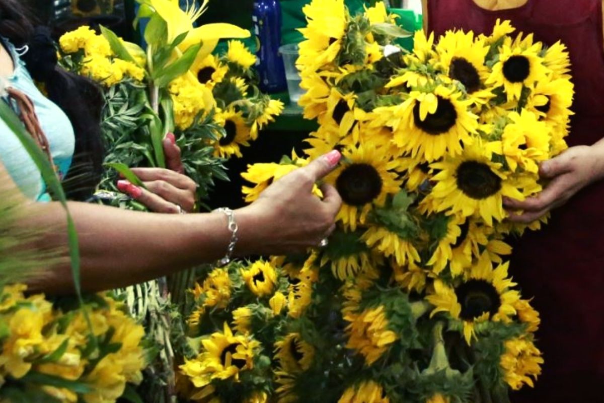 Año Nuevo 2022: ¿por qué se usan flores amarillas para recibir el nuevo  año? - Infobae