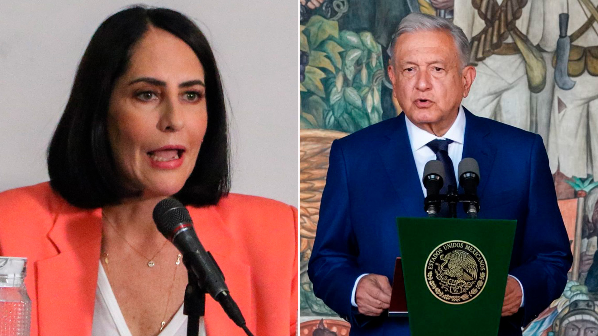 “es Lo único Que Hace Y Luego Se Duerme” Lía Limón Se Lanzó Contra Amlo Y La Mañanera Infobae 4147