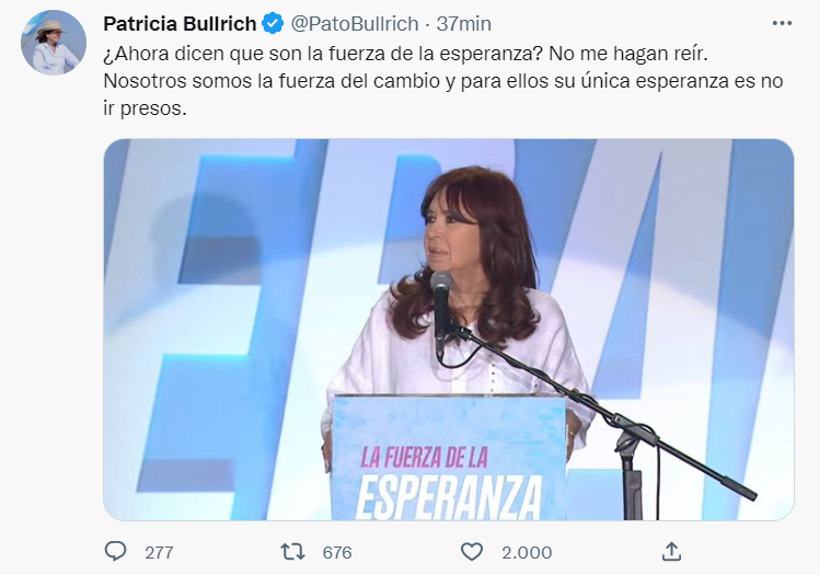 El mensaje de la presidenta del PRO 
