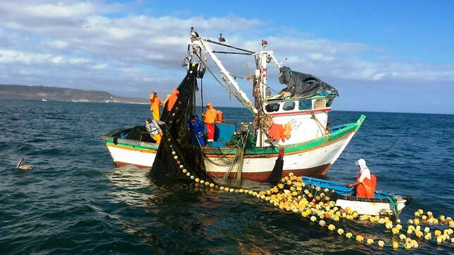 Pesca disminuyó en noviembre en el Perú.