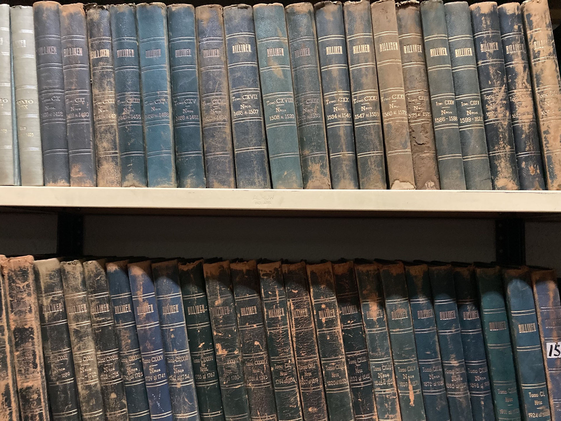 "El señor que estaba a cargo del siempre me preguntaba qué estaba haciendo y yo le decía que estaba escribiendo un libro sobre Billiken. Llegó un punto en el que dejó de preguntarme. Todavía escribiendo el libro sobre Billiken"