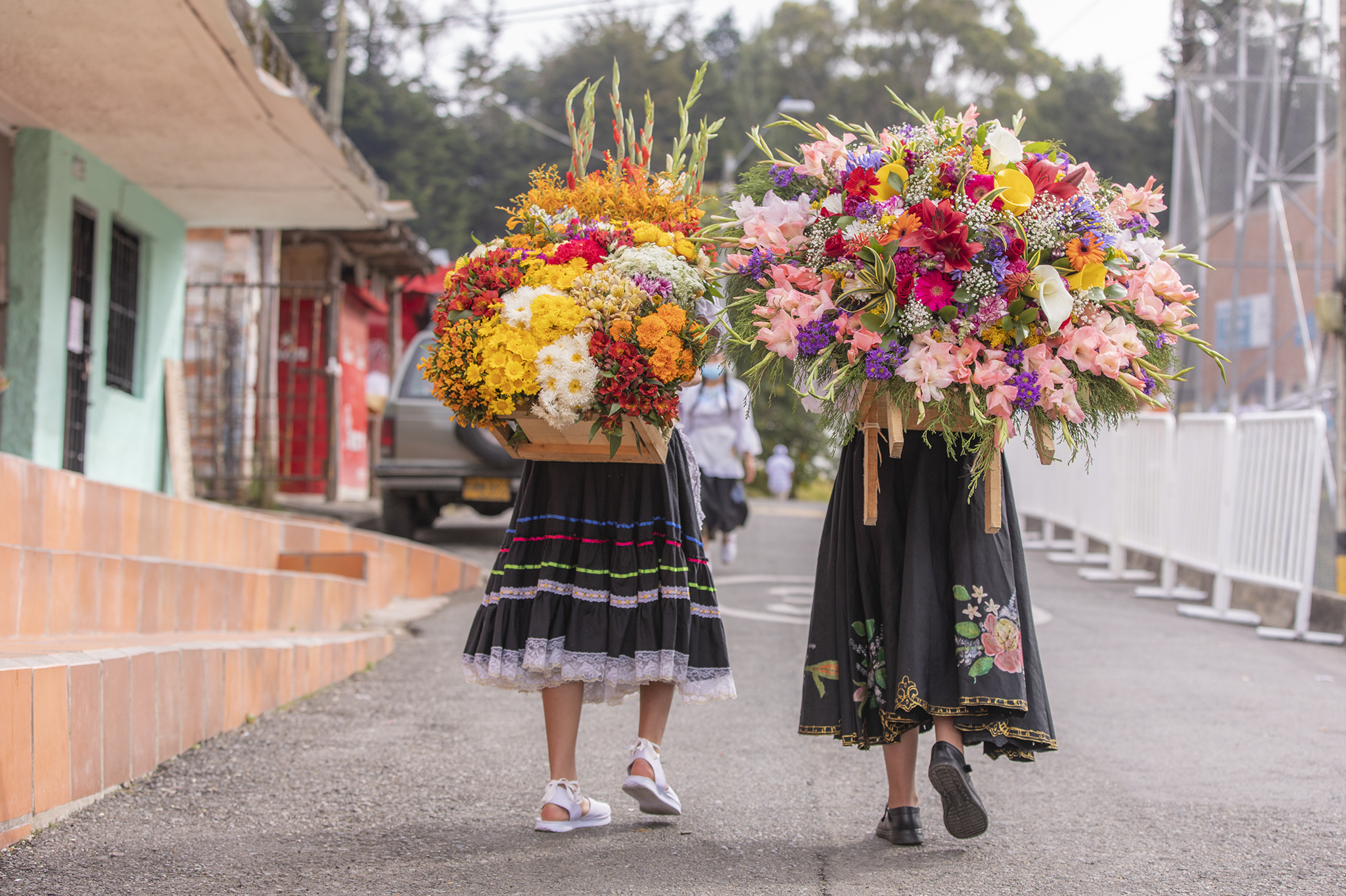 Con La Ruta de la Flores Medellín comienza su feria, serán diez días llenos  de cultura y color para celebrar la vida - Infobae