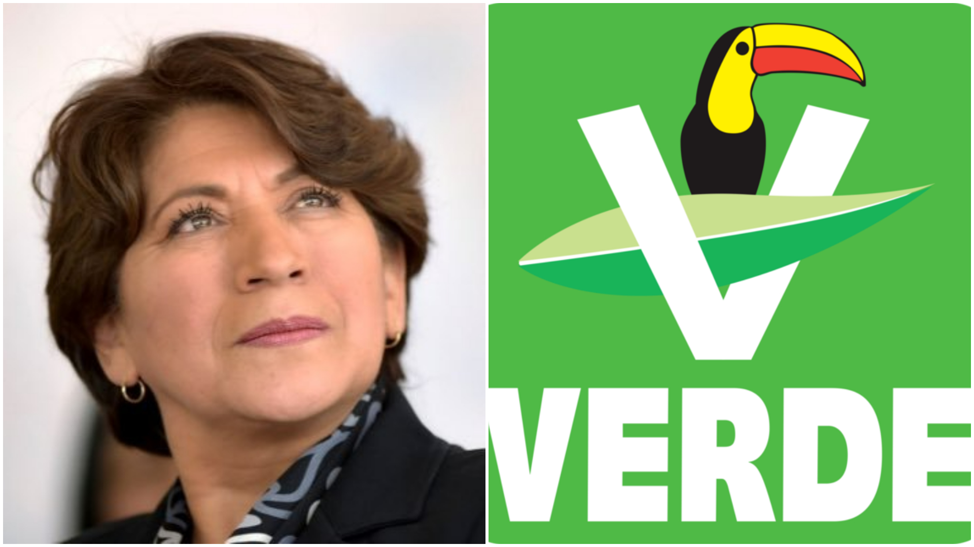 El Partido Verde planea ir solo por la disputa de la gubernatura del Edomex (Twitter/@delfinagomeza/INE)