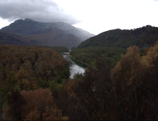 Ranking mundial: cuáles fueron las marcas que más autos 0 km vendieron en 2025 y cómo impactó el avance de los híbridos