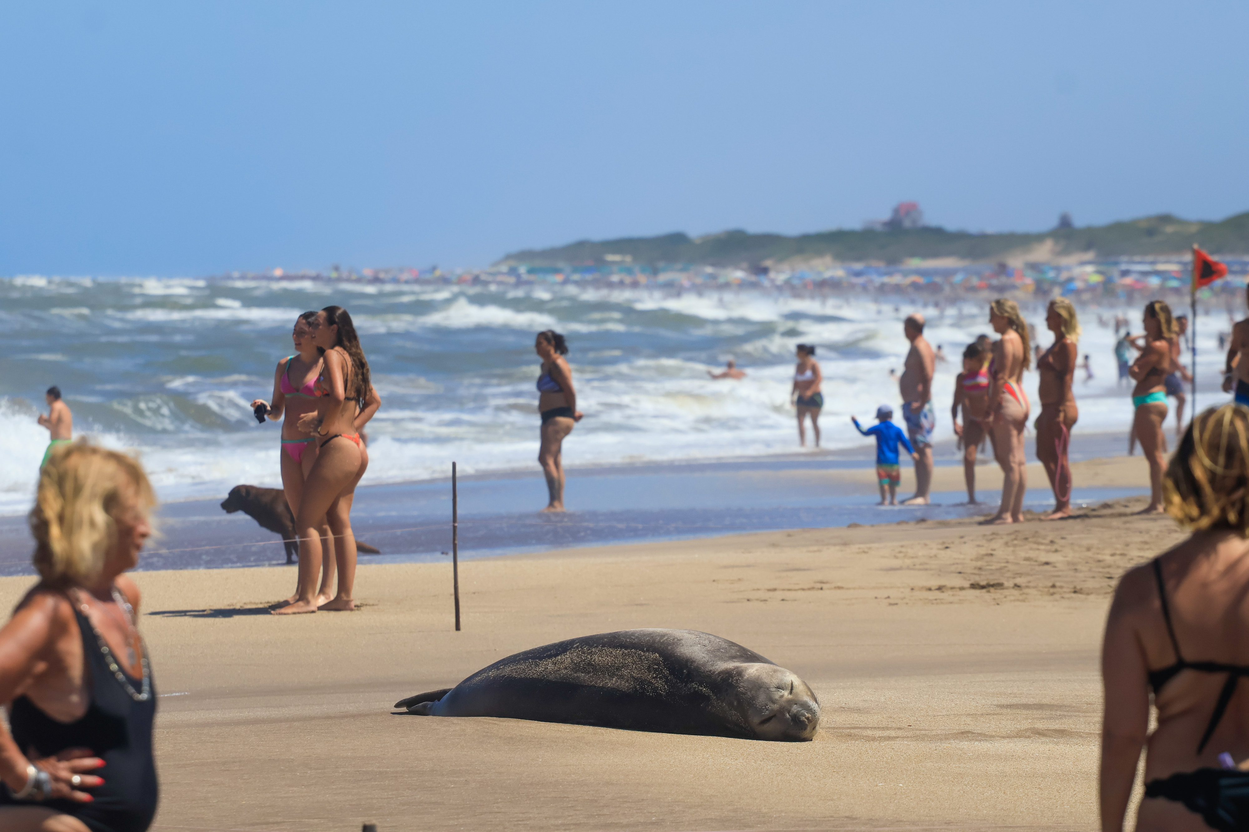 La apuesta de una verdulería en el conurbano: frutas y verduras de hoy, a precios de ayer