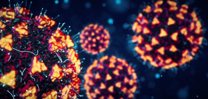 Las diferentes especies de coronavirus comparten una proteína que usan para entrar en las células. Esa proteína podría ser el blanco de un potencial fármaco que la bloquee en el futuro (NHI)