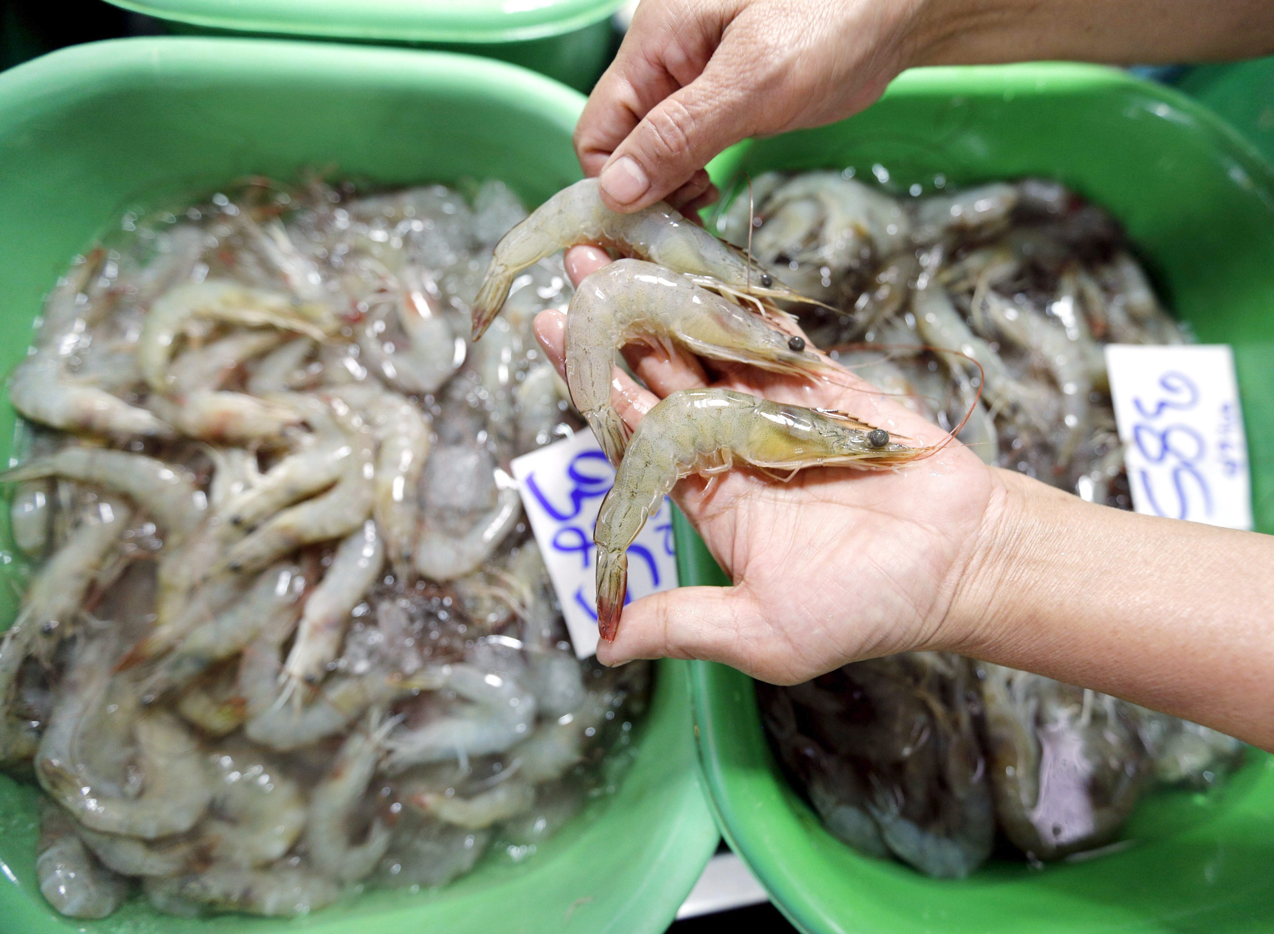 Ecuador es uno de los exportadores de camarón más importantes del mundo. (EFE/EPA/NARONG SANGNAK/Archivo)
