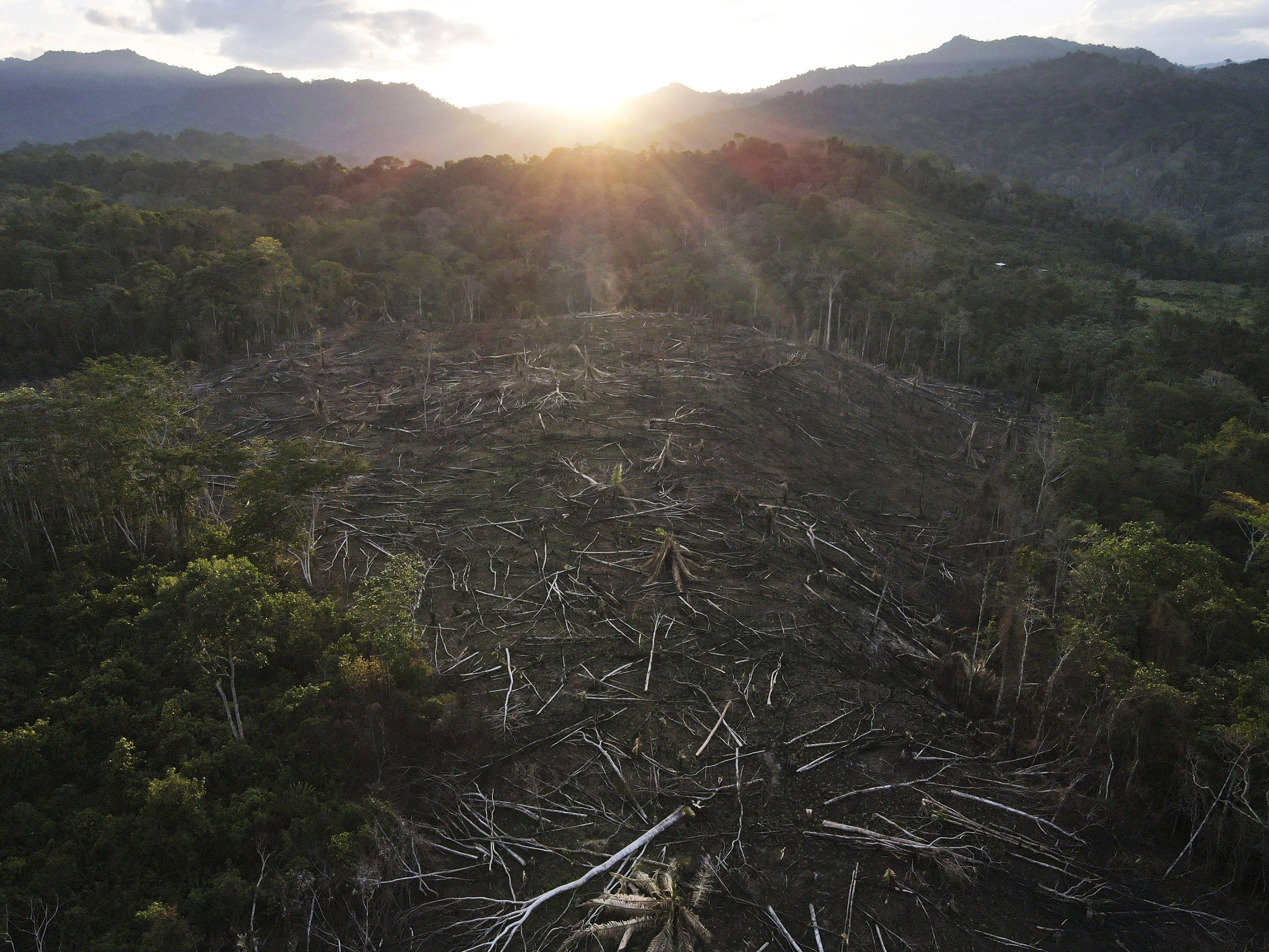 El cambio climático provoca las sequías en los bosques, lo que aumenta la probabilidad de experimentar un incendio forestal. (AP/Martin Mejia)