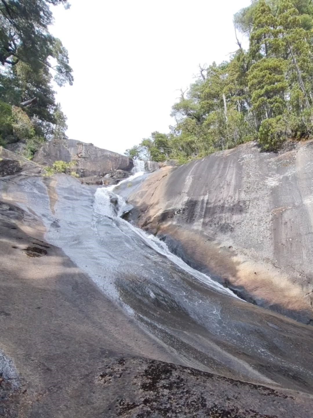 Pese al buque que trajo 5.800 autos, las marcas chinas siguen representando menos del 8% del mercado automotor