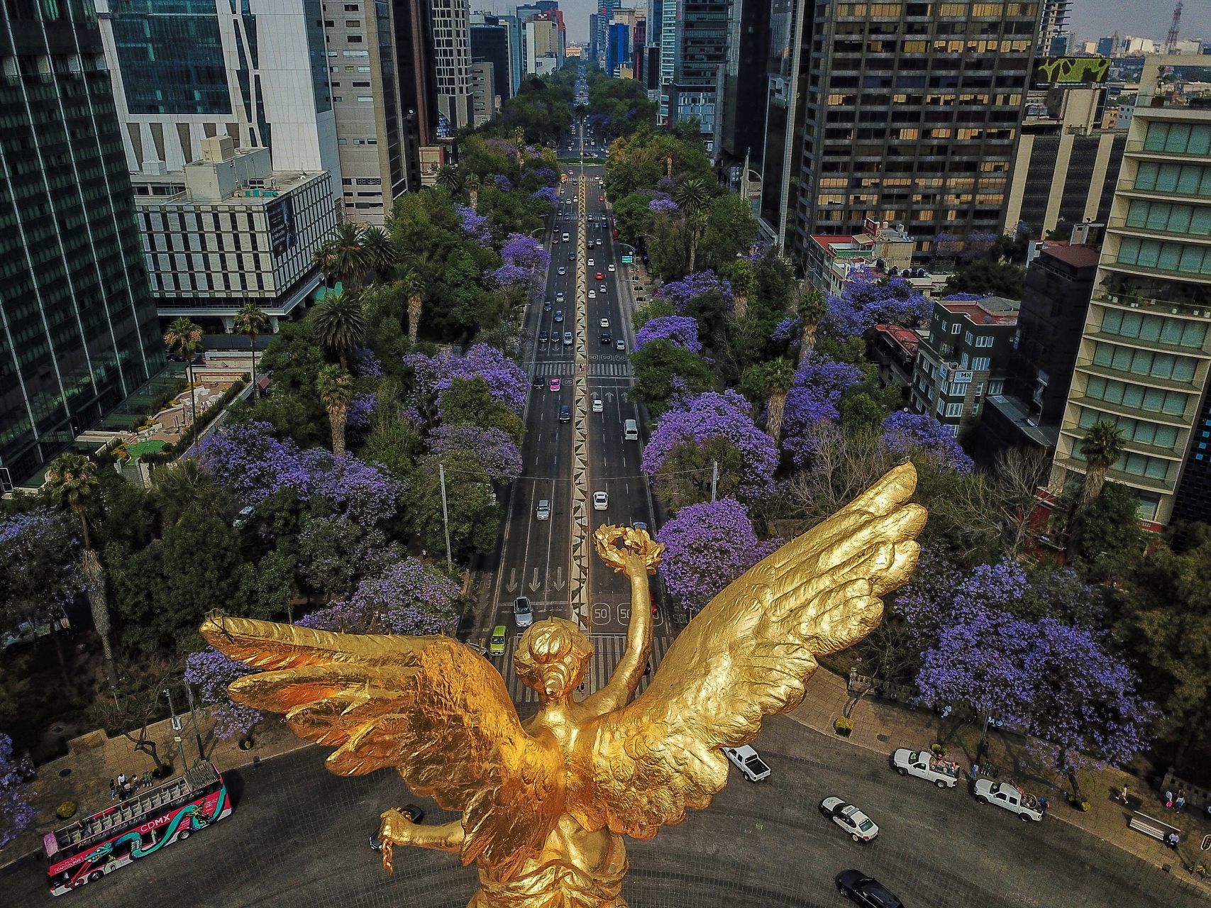 Paseo de la Reforma suele reportar varios accidentes (FOTO: ISAAC ESQUIVEL /CUARTOSCURO)