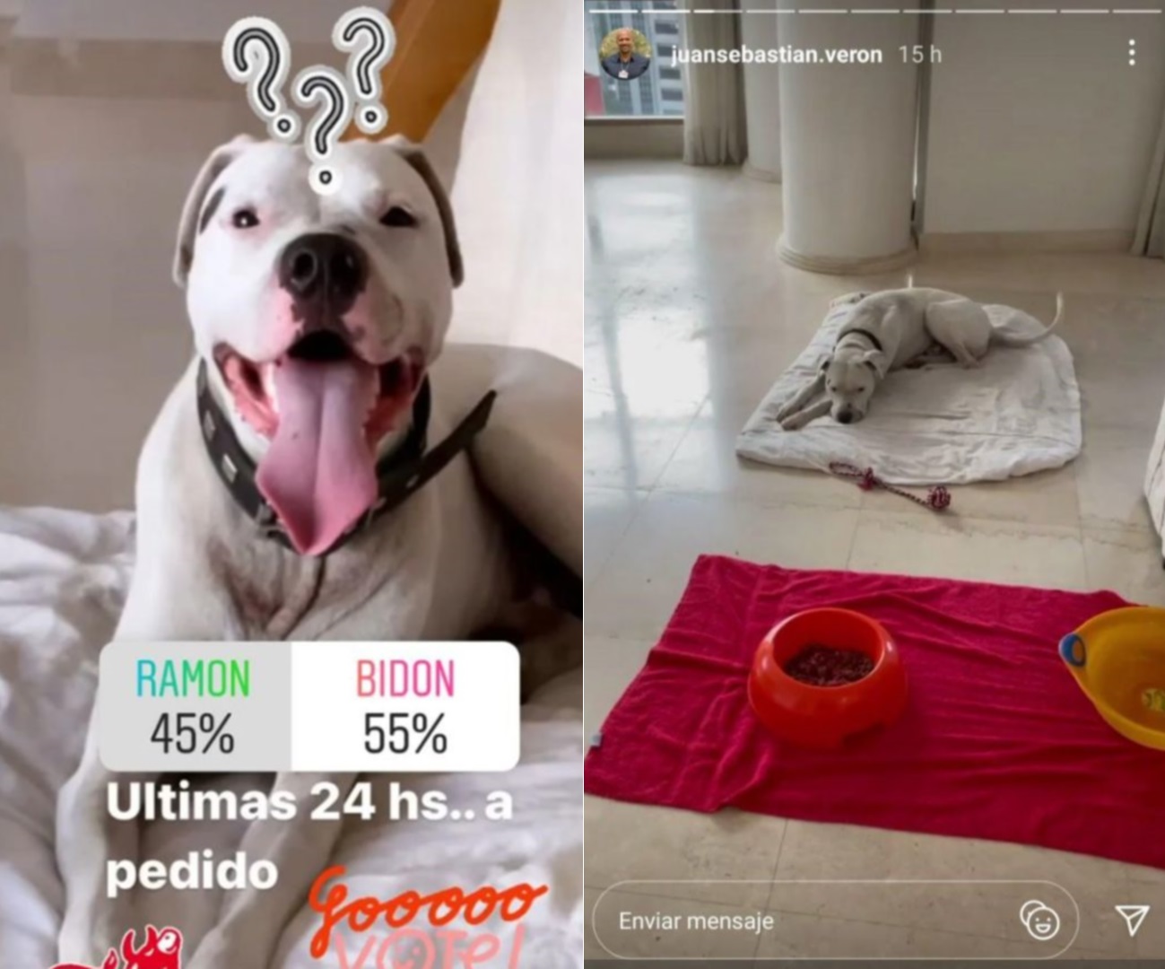 La Bruja también lanzó una encuesta en su Instagram para que los seguidores escojan un nombre para el perro: Ramón se terminó imponiendo a Bidón