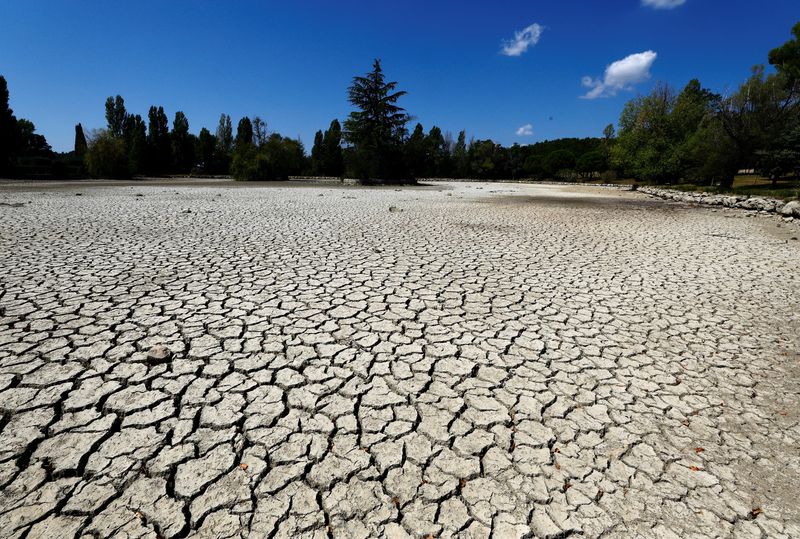 Tierra agrietada y seca en un estanque, durante una sequía histórica en el país, en Tourtour, Francia, 16 de agosto de 2022. (REUTERS/Eric Gaillard)
