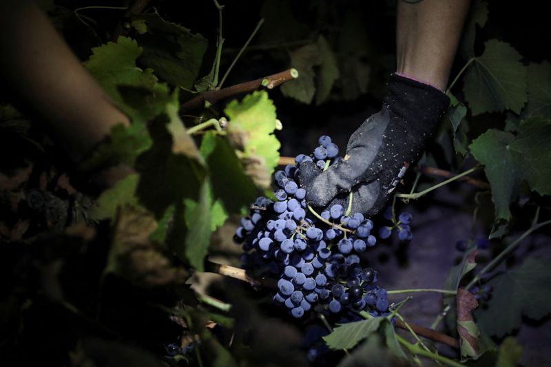 Drought, frost and hail severely affected the wine industry, which would have a special dollar from April