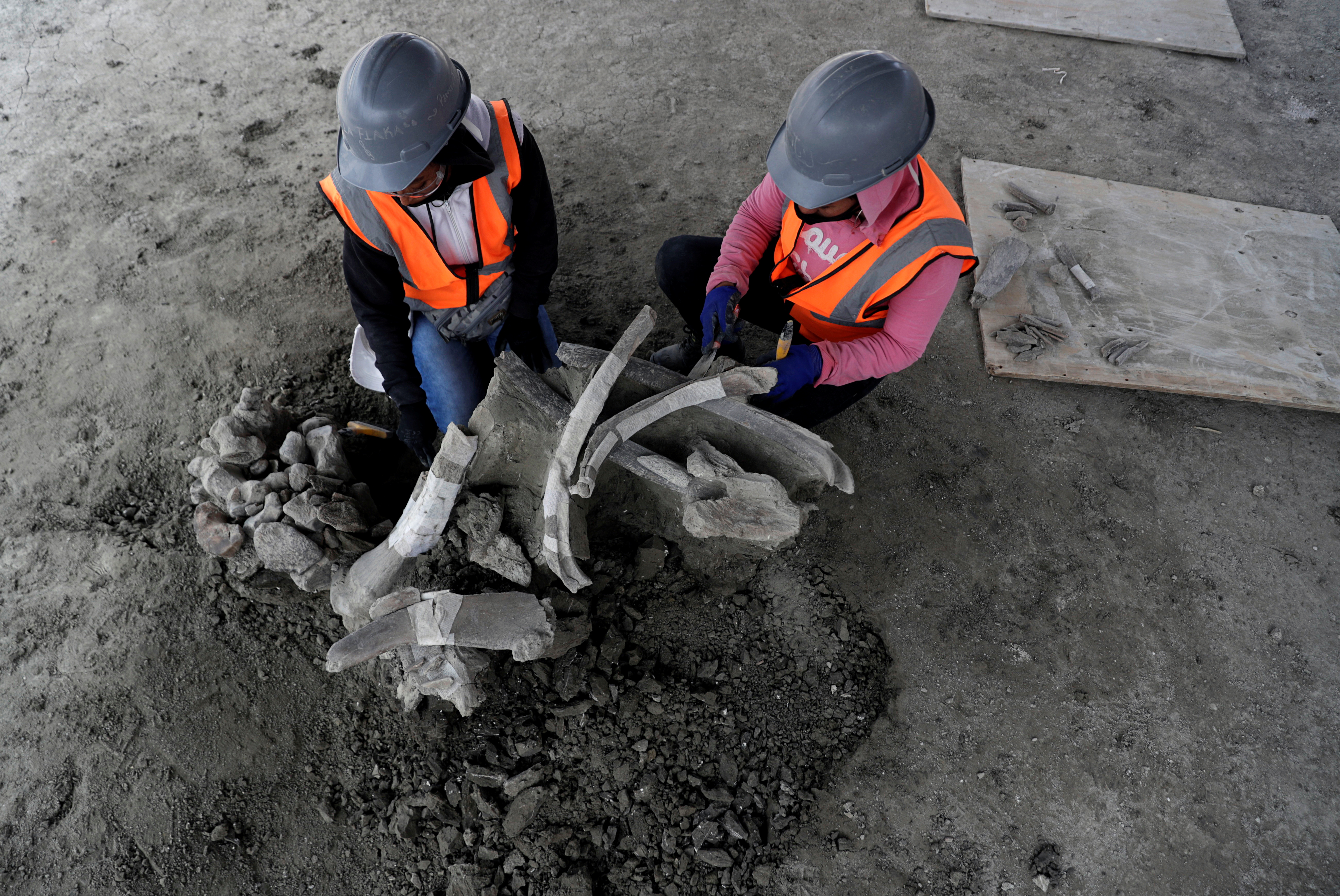 Una vez que las excavaciones culminen, Manzanilla dijo que el sitio, ubicado a unos 50 kilómetros al norte del centro de Ciudad de México, podría rivalizar con otros en Estados Unidos y Siberia como el mayor depósito de esqueletos de mamut del planeta.