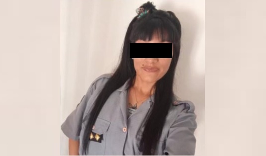 El Senado aprobó dictamen para la designación de Fernando Iglesias como embajador ante Bélgica y la Unión Europea