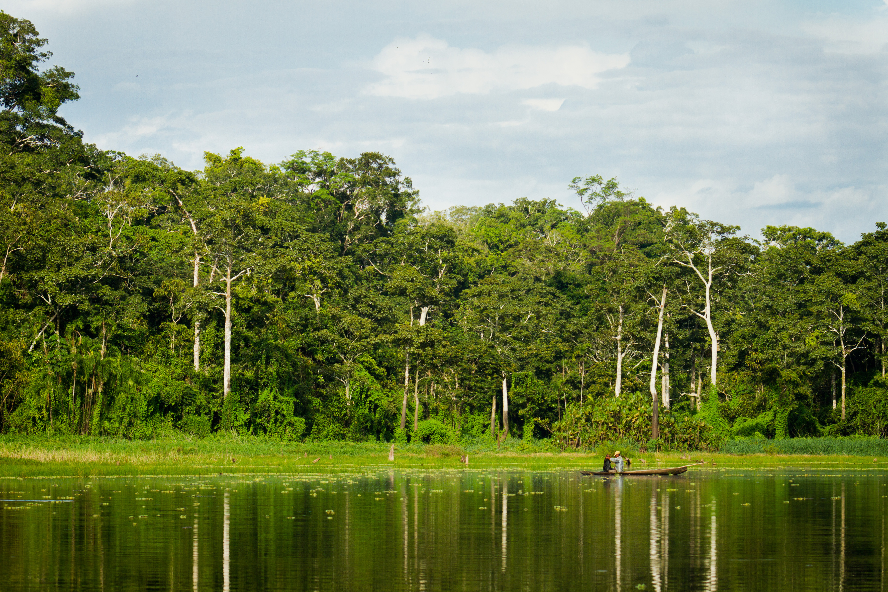 Maestría en Ciencias en Biodiversidad y Conservación de Ecosistemas Tropicales