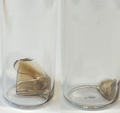 El fotógrafo Víctor Bugge fue nombrado Personalidad Destacada de la Cultura: “Me emociona, algo hice bien”