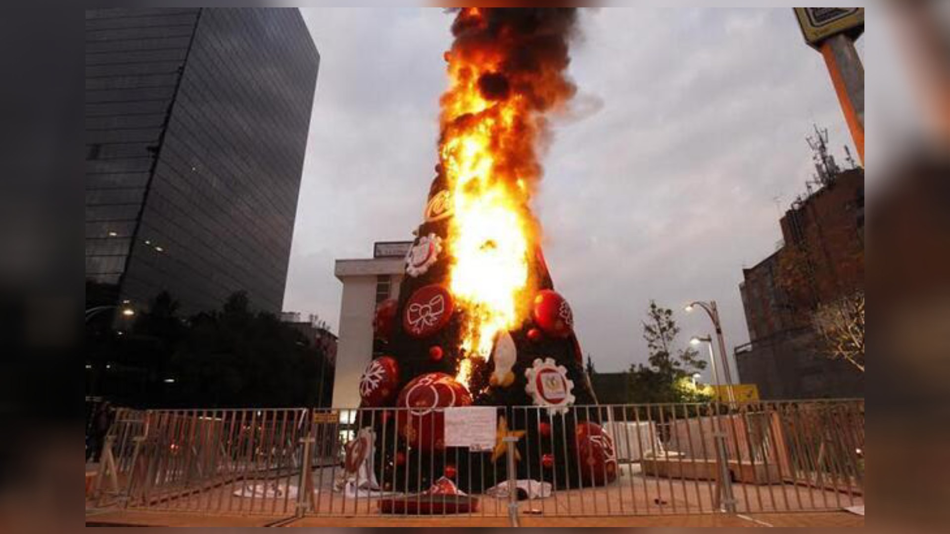 La trágica historia del último mega árbol de Navidad instalado en Paseo de la Reforma