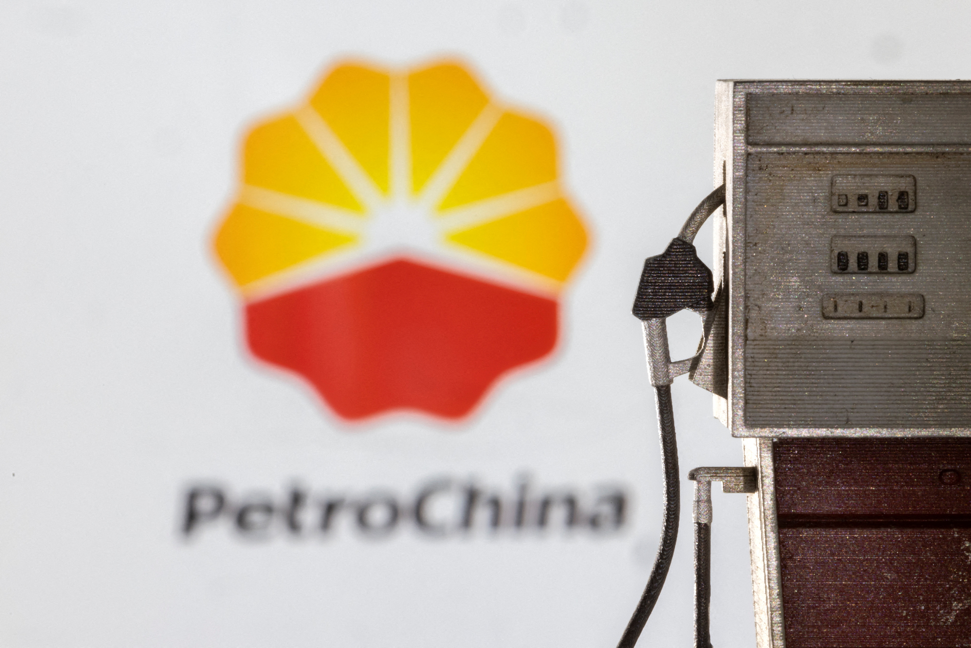 PetroChina is one of the companies leaving Wall Stret (REUTERS/Dado Ruvic/File)