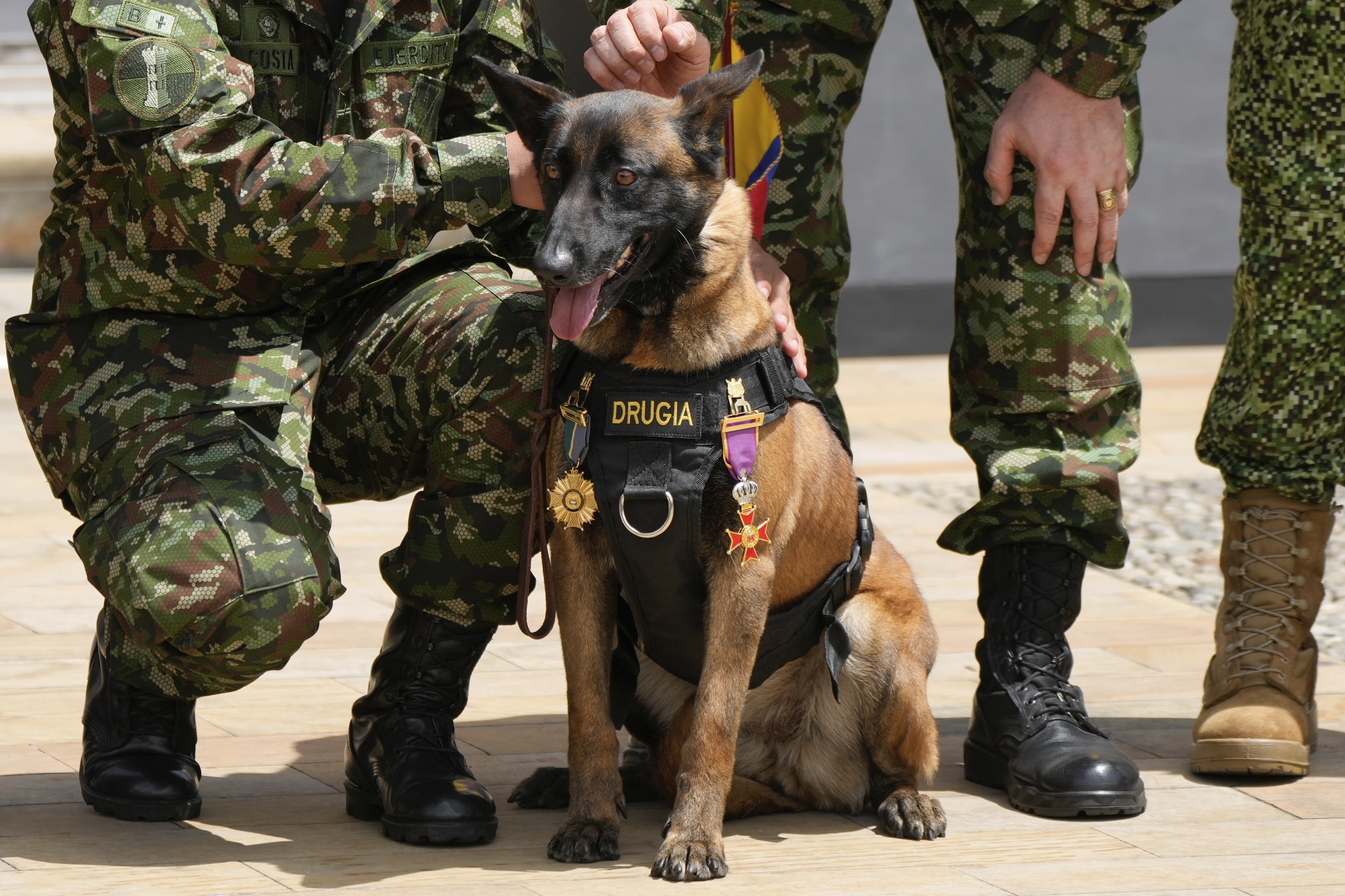 Wilson no era el único rescatista de su familia: Fuerzas Militares  presentaron a su hermano, está en fase de entrenamiento - Infobae