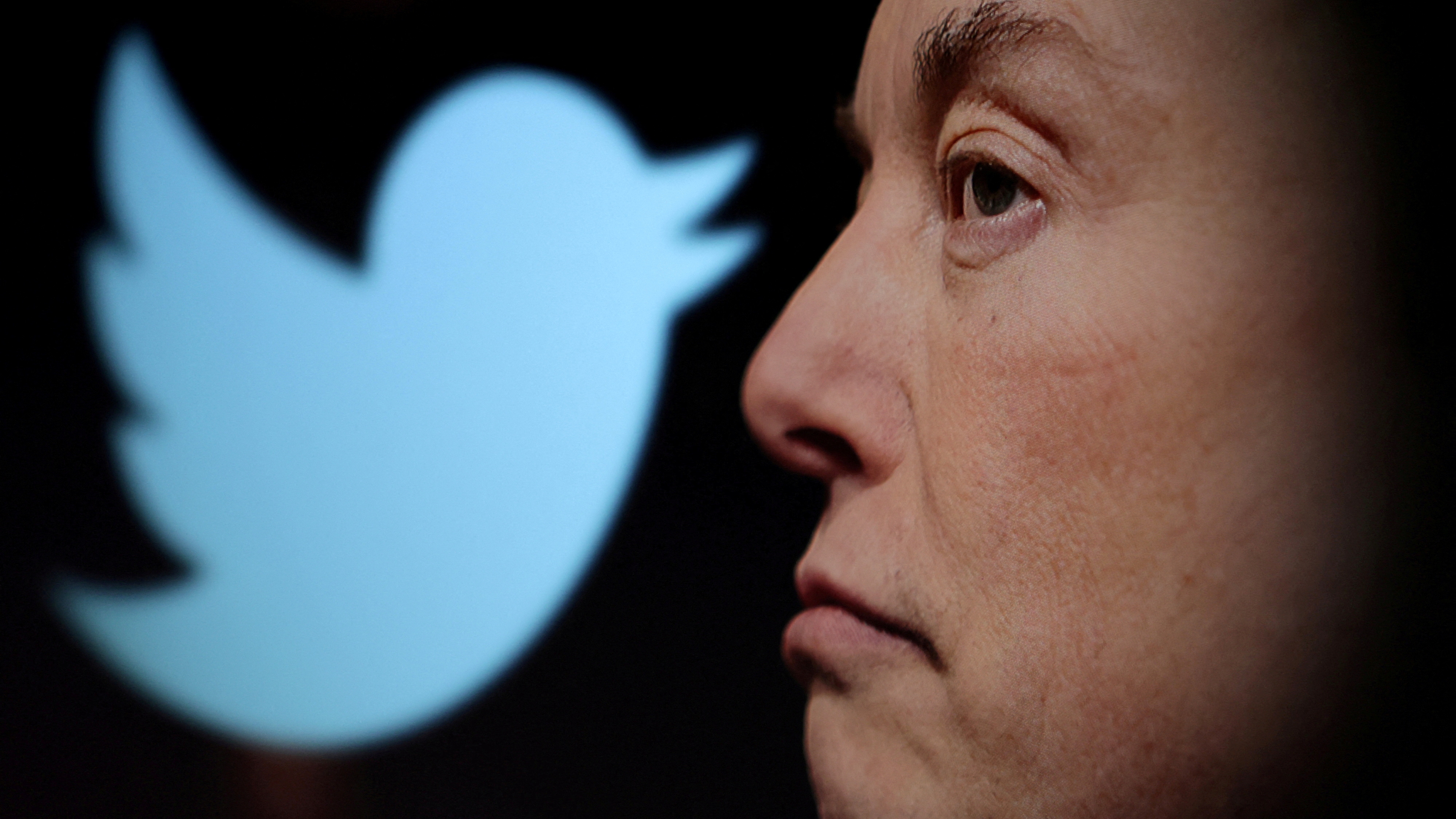 Twitter Inc. was sued over Elon Musk's plan to cut around 3,700 jobs on the social media platform (REUTERS/Dado Ruvic/Illustration)