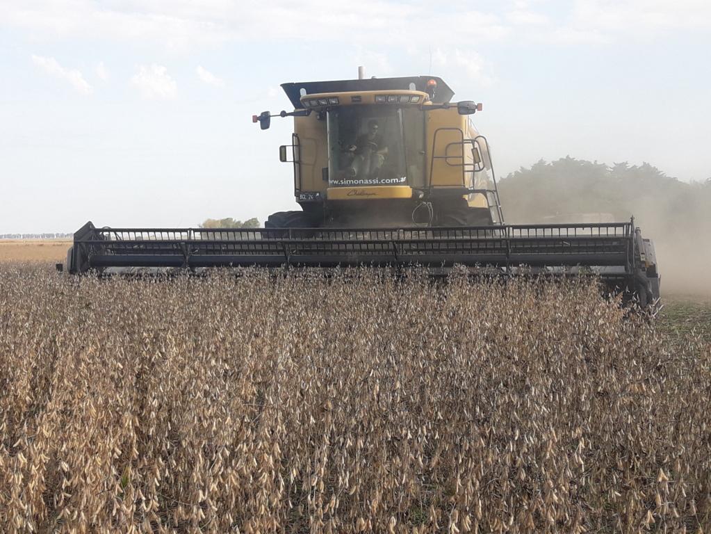 El fenómeno Pokémon colapsa a un importante museo de Londres 