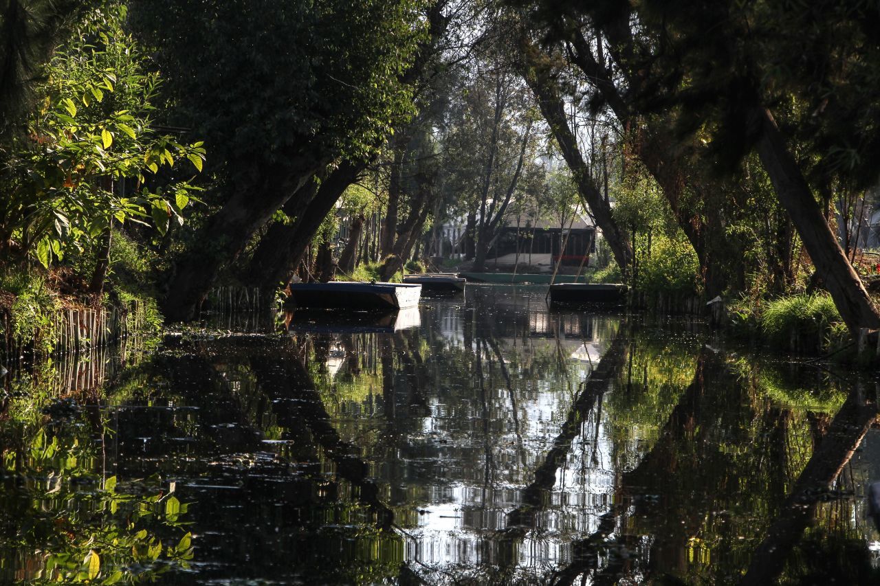 Xochimilco, Ciudad de México, 25 de noviembre de 2020.