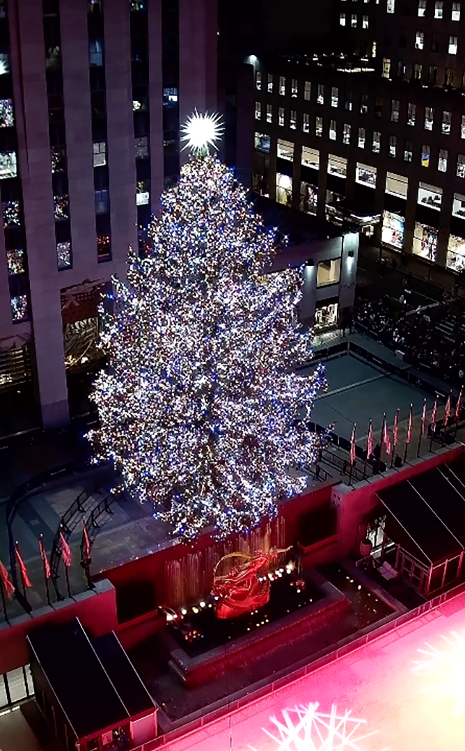 Este año mide casi 9 metros de altura, tiene 50.000 luces y una estrella Swarovski tridimensional, diseñada por el arquitecto Daniel Libeskind y cubierta con tres millones de cristales (Fuente: provistas por Rockefeller Center)