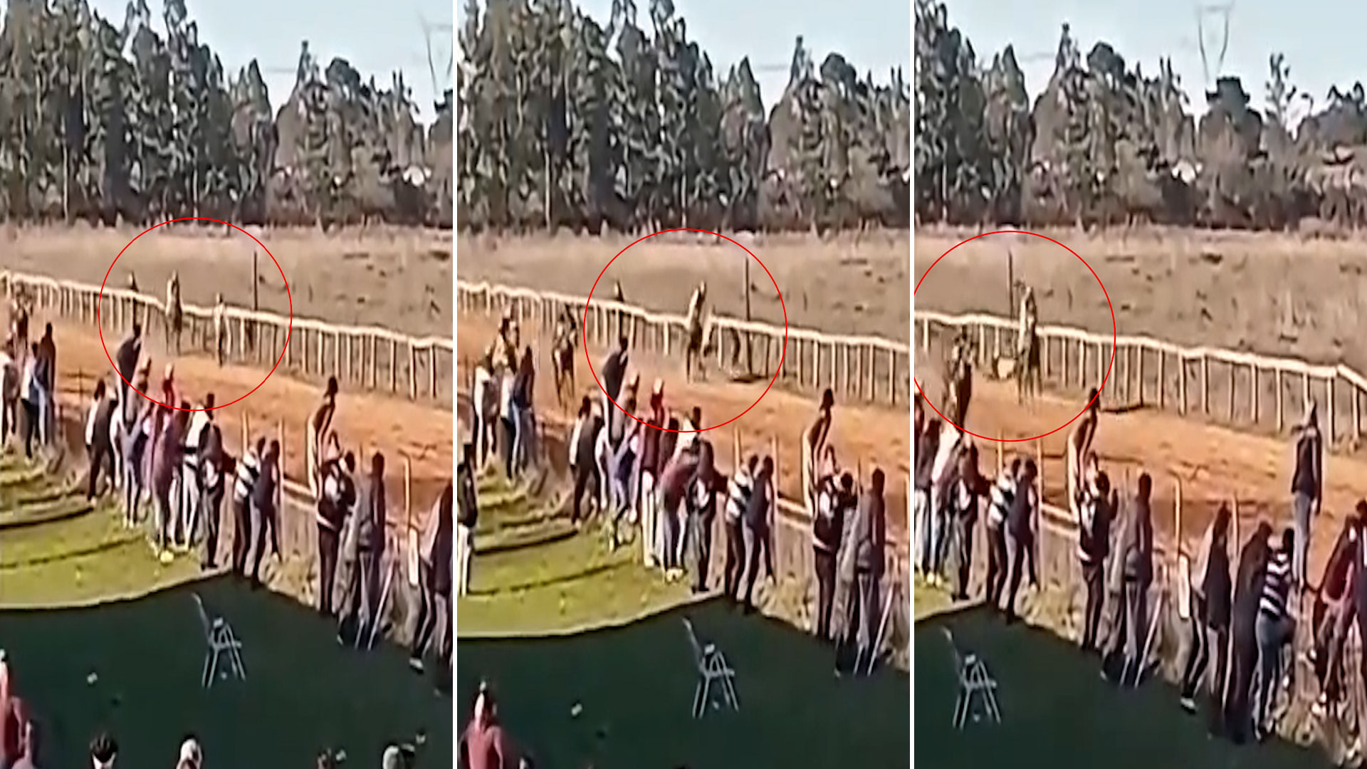 Entr&oacute; a la pista de un hip&oacute;dromo a festejar el triunfo de su caballo, fue atropellado por otro y termin&oacute; internado