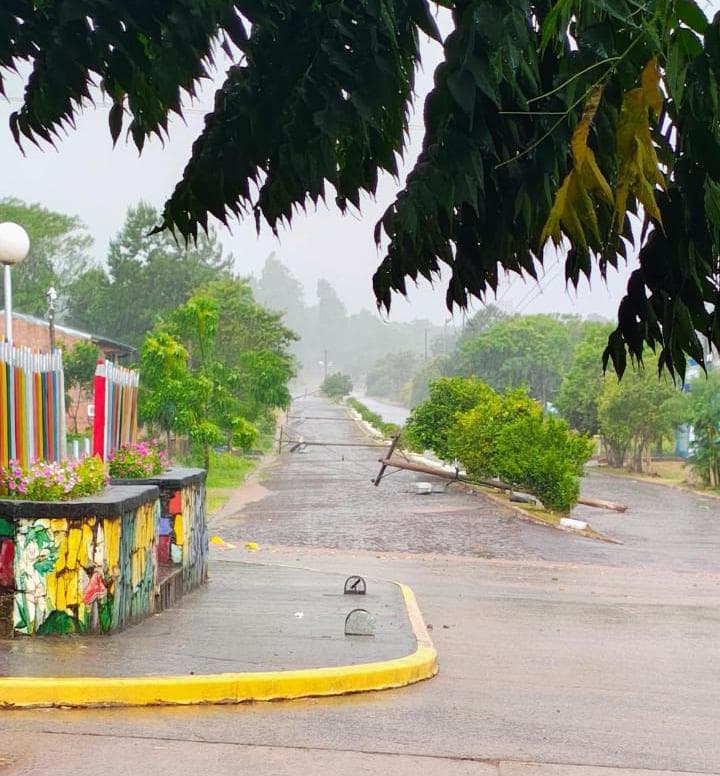 Cuánto vino tomaron los argentinos en 2025 y por qué se registró un récord negativo para la actividad