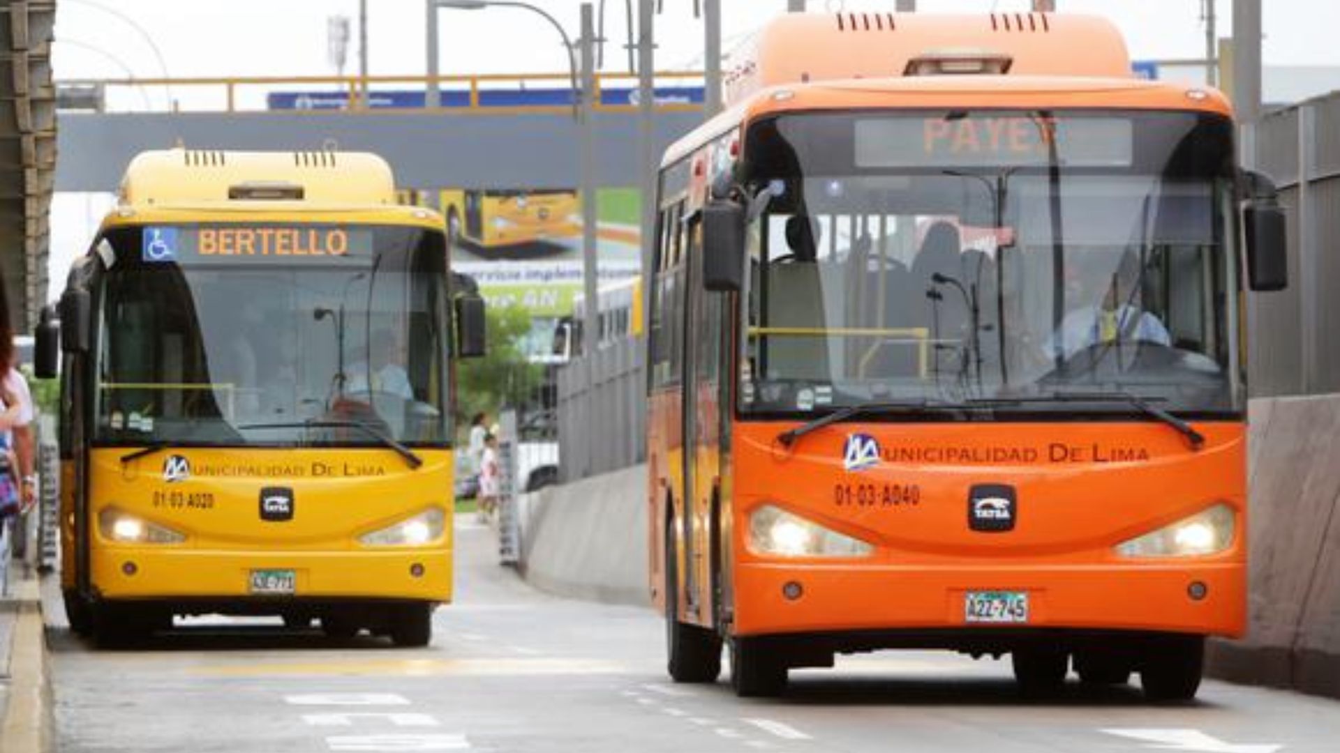 Desafortunadamente rueda falso Alimentadores del Metropolitano: diferencias entre los buses y cuáles son  las rutas - Infobae