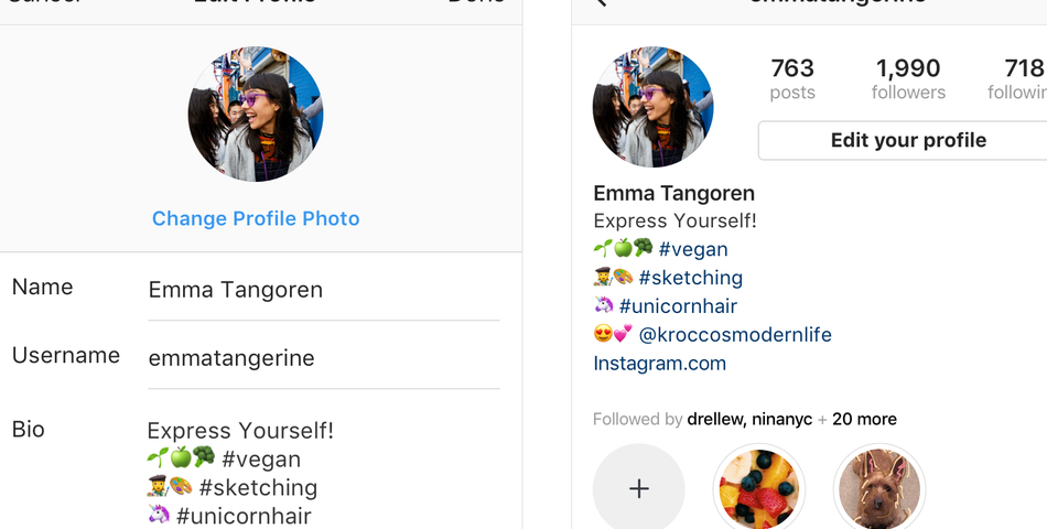 Ejemplo de un perfil de Instagram con emojis y hashtags. (foto: Seguidores online)