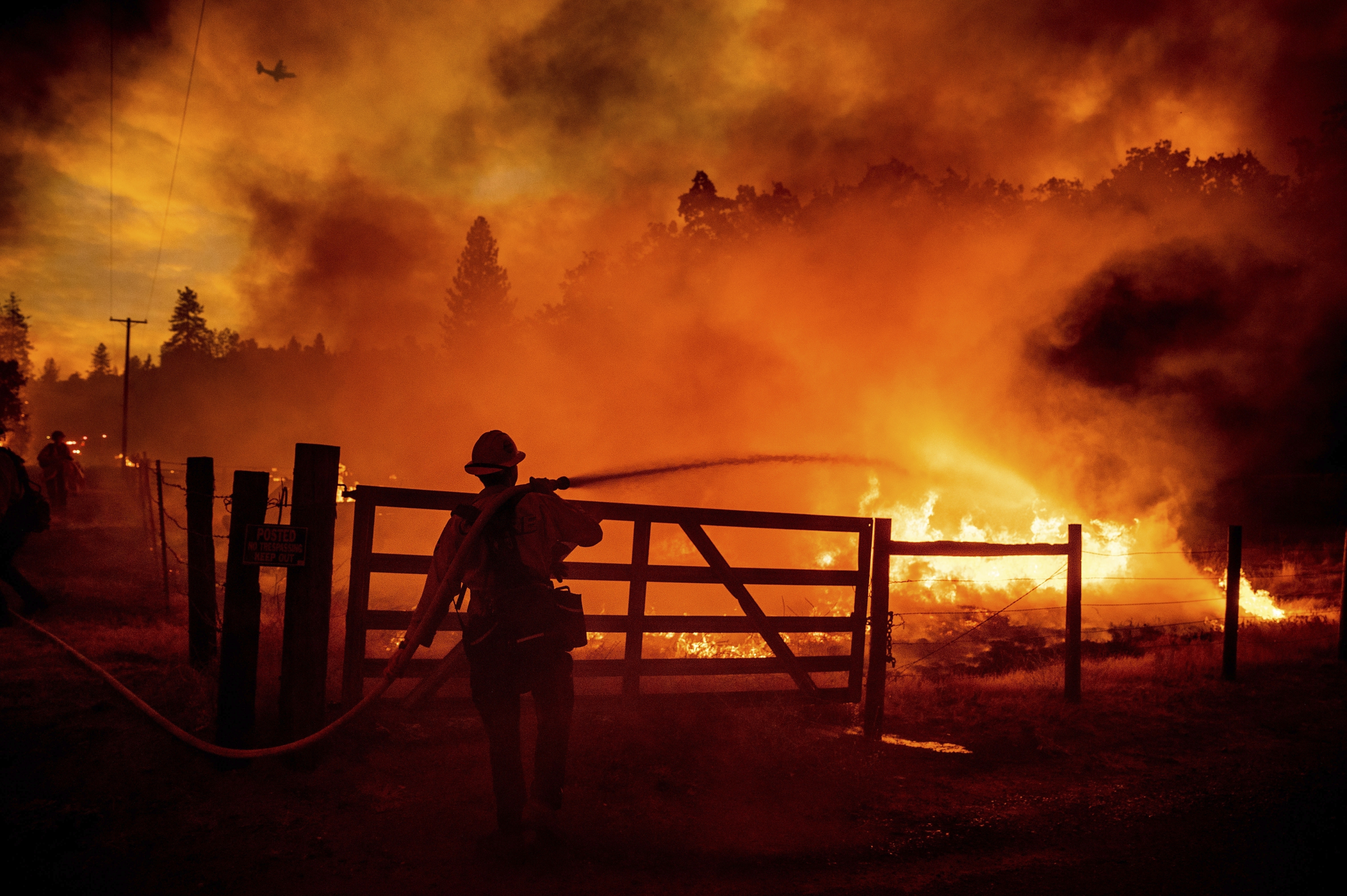 Con quemas controladas, California intenta disminuir el impacto de los incendios forestales  