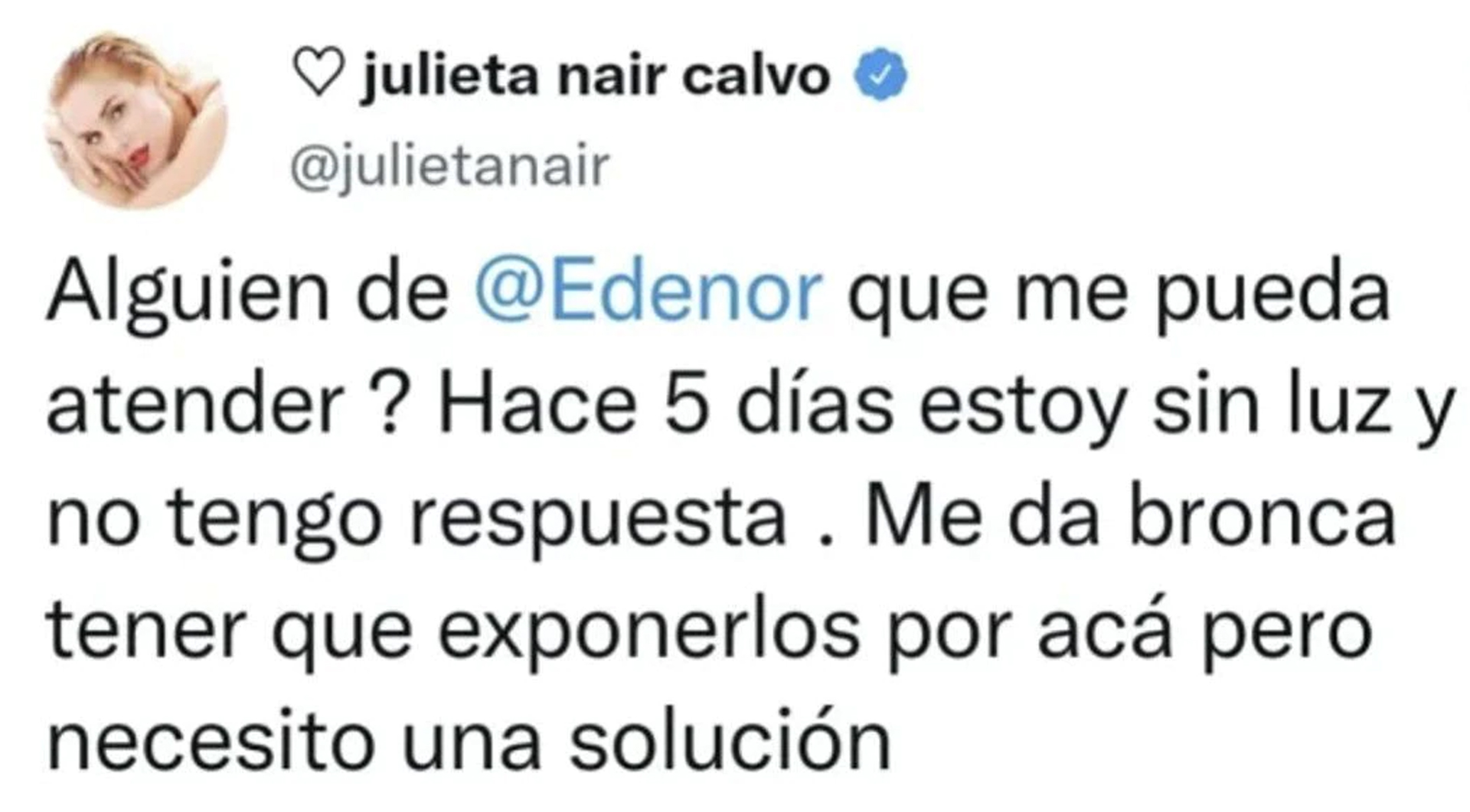 El tweet de Julieta Nair Calvo contra la empresa de energía que la dejó sin luz durante varios días (Foto: Twitter)