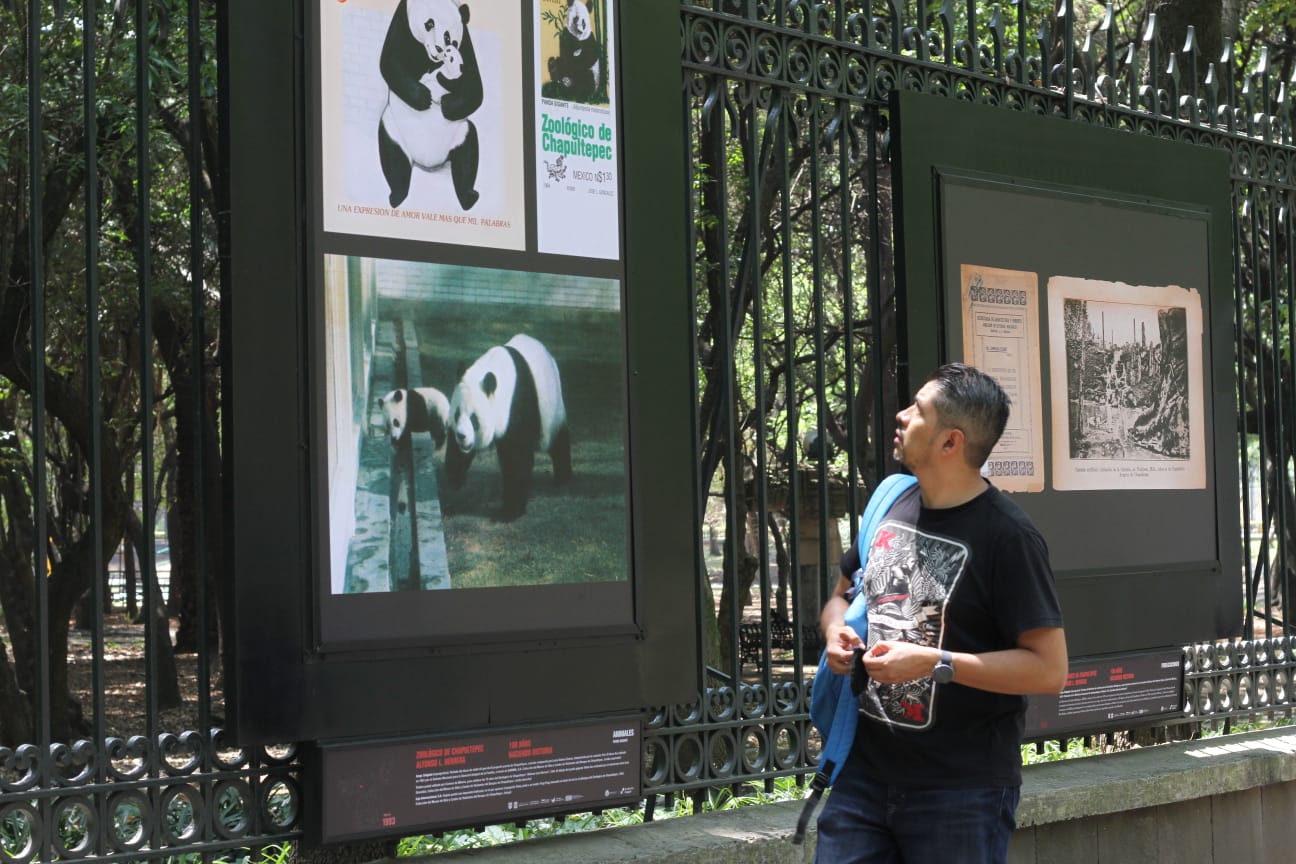 On the occasion of the 100 years of the Chapultepec Zoo there will be exhibitions of photos and giant animals (Photo: Sedema)