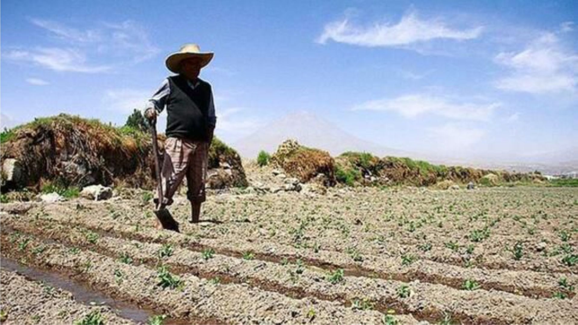 10 Regiones De La Sierra Central Y Sur Del País Sufren Ausencia De