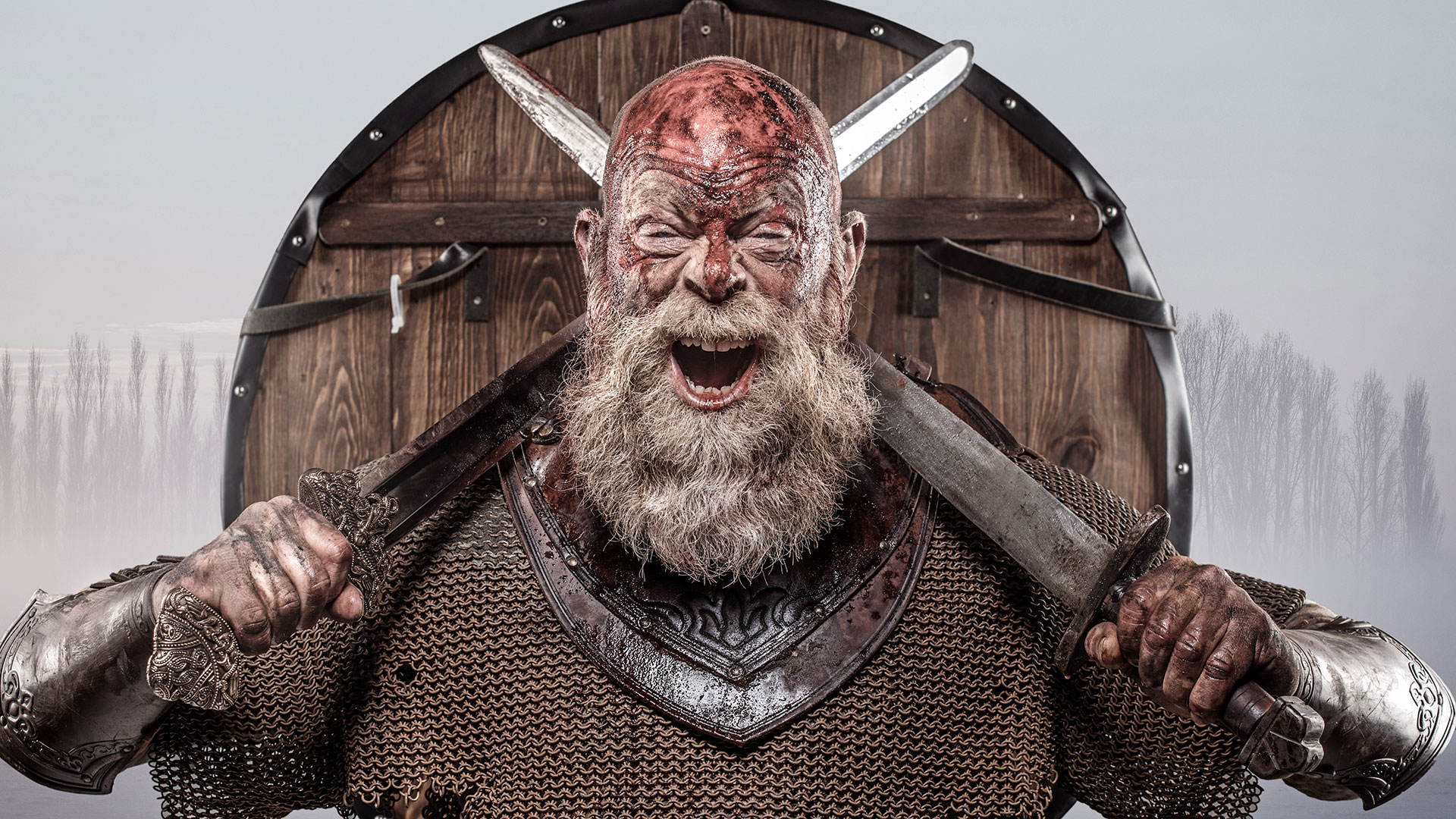 Top 61+ imagen aguila de sangre vikingos