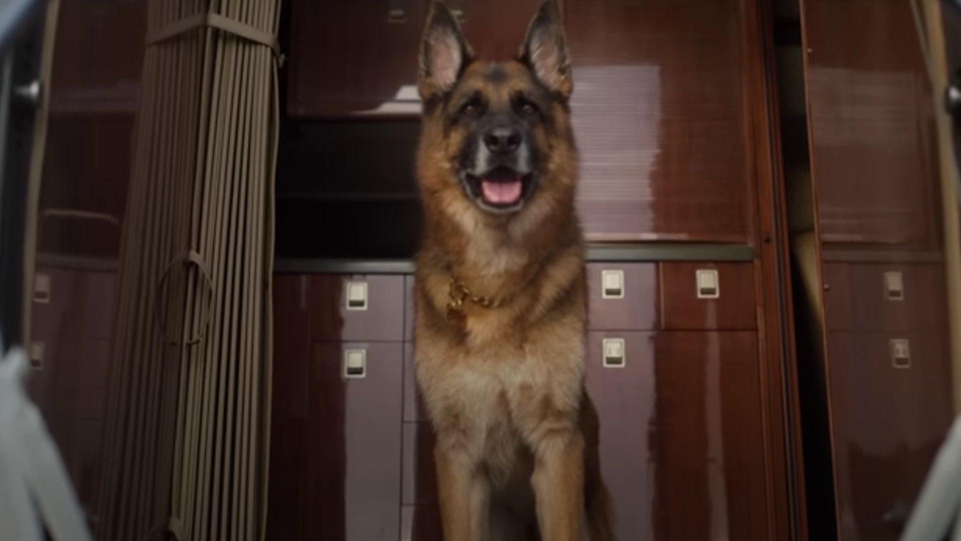 Gunther Organization es la empresa que está detrás de este perro (Captura de pantalla)